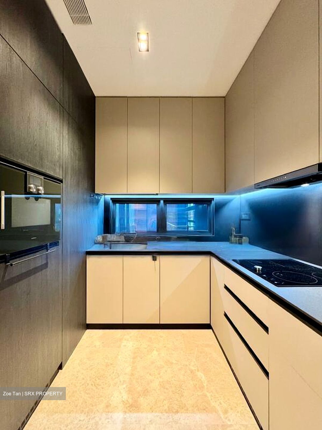 3 Cuscaden (D10), Apartment #471715101
